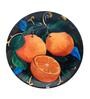 Multicolor Ceramic Oranges From Italy Satin Matte Finish Decorative Wall Plate