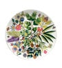 Multicolor Ceramic The Vibrant Bliss Decorative Wall Plate
