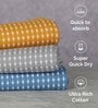 Multicolor Cotton 255 GSM (Set of 3) Bath Towels