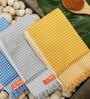 Multicolor Cotton 255 GSM (Set of 3) Bath Towels