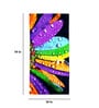 Multicolor Cotton 400 GSM Petal Beach Bath Towel