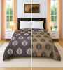Brown Cotton Floral 300 GSM Double Bed Reversible Comforter