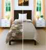 Brown Cotton Floral 300 GSM Single Bed Reversible Comforter