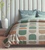 Multicolor Cotton Blend Geometric 150 GSM Double Comforter