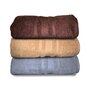 Multicolor Cotton Solid 500 GSM Bath Towels (Set of 3)