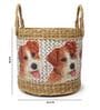 Multicolor Fibre Plant Basket