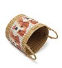 Multicolor Fibre Plant Basket