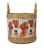 Multicolor Fibre Plant Basket