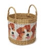 Multicolor Fibre Plant Basket