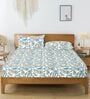 Multicolor Floral 144 TC Cotton King Fitted Bedsheet with 2 Pillow Covers
