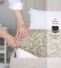 Multicolor Floral 144 TC Cotton King Fitted Bedsheet with 2 Pillow Covers