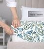 Multicolor Floral 144 TC Cotton King Fitted Bedsheet with 2 Pillow Covers