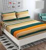 Multicolor Striped 160 TC Microfibre Queen Sized Bedsheet with 2 Pillow Covers