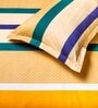 Multicolor Striped 160 TC Microfibre Queen Sized Bedsheet with 2 Pillow Covers