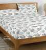 Multicolor Floral 250 TC Cotton King Fitted Bedsheet with 2 Pillow Covers
