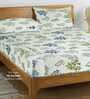 Multicolor Floral 250 TC Cotton King Fitted Bedsheet with 2 Pillow Covers