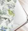 Multicolor Floral 250 TC Cotton King Fitted Bedsheet with 2 Pillow Covers