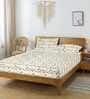 Multicolor Floral 250 TC Cotton King Fitted Bedsheet with 2 Pillow Covers