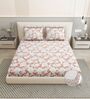 Brown Floral 260 Tc Polycotton King Fitted Bedsheet With 2 Pillow Covers