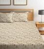 Cream Floral 280 TC Cotton Blend King Sized Bed Sheets with 2 Pillow Covers