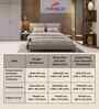 Blue Floral 300 TC Cotton Blend 7D King Size Fitted Double Bedsheet with 2 Pillow Covers