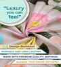 Multicolor Floral 300 TC Cotton Blend 7D King Size Fitted Double Bedsheet with 2 Pillow Covers