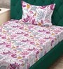 Multicolor Floral 300 TC Cotton Blend Fitted Single Bedsheet with Pillow Cover