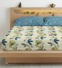 Multicolor Floral 300 TC Cotton Blend King Sized Bedsheet With 2 Pillow Covers