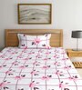 Multicolor Floral 300 TC Cotton Single Bedsheet with 1 Pillow Cover