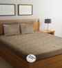 Peach Floral 300 TC Glaze Cotton Fitted Bed Sheet Double Bed with 2 Pillow Covers Essential Collection