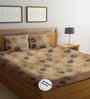 Orange Floral 300 TC Glaze Cotton Fitted Bed Sheet Double Bed with 2 Pillow Covers Essential Collection