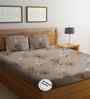 Peach Floral 300 TC Glaze Cotton Fitted Bed Sheet Double Bed with 2 Pillow Covers Essential Collection