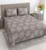 Light Brown Floral 400 TC Cotton Queen Flat Bedsheet with 2 Pillow Covers Essential Collection