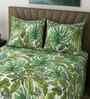 Green Floral 400 TC Cotton Super King Flat Bedsheet with 2 Pillow Covers Essential Collection