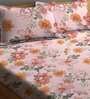 Multicolor Floral 210 TC Poly Cotton King Sized Bed Sheets with 2 Pillow Covers