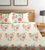 Multicolor Floral 210 TC Poly Cotton King Sized Bed Sheets with 2 Pillow Covers