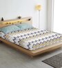 Multicolor Geometric 300 TC Cotton Blend King Sized Bedsheet With 2 Pillow Covers