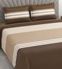 Brown Geometric 400 TC Cotton Superking Size Bedsheet With 2 Pillow Covers Threads Stripes Collection