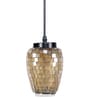 Harwin Multicolour Glass Hanging Light