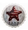 Multicolor Metal Star Fish Sand Wall Decor