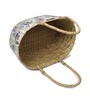 Multicolor Natural Fibre Basket