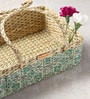 Multicolor Natural Fibre Large Gifting Fruit Basket