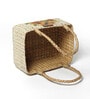 Multicolor Natural Fibre Medium Gifting Fruit Basket