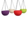 Multicolor Plastic Garden Essential Hanging Planter with Elegant Wicker Design with Chain 8 Inch