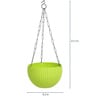 Multicolor Plastic Garden Essential Hanging Planter with Elegant Wicker Design with Chain 8 Inch