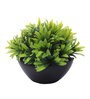 Multicolor Plastic Large Green Leaves Plant with Pot
