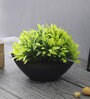 Multicolor Plastic Large Green Leaves Plant with Pot