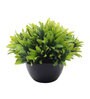 Multicolor Plastic Large Green Leaves Plant with Pot