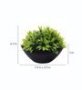 Multicolor Plastic Large Green Leaves Plant with Pot