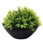 Multicolor Plastic Large Green Leaves Plant with Pot